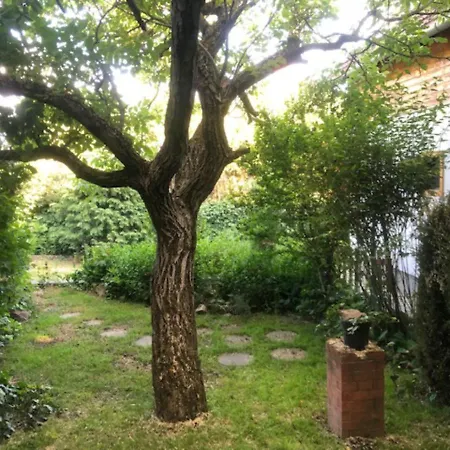 Tulipan Haz Holiday home Szentendre