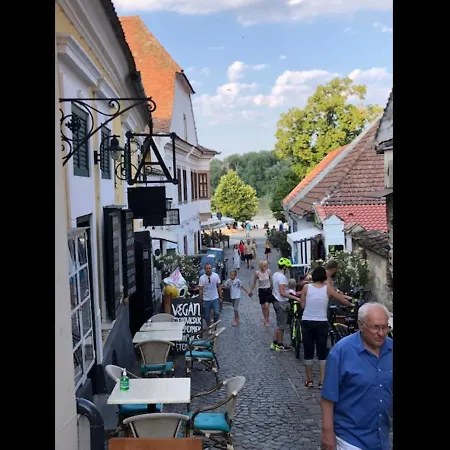 Tulipán Ház Nyaraló
