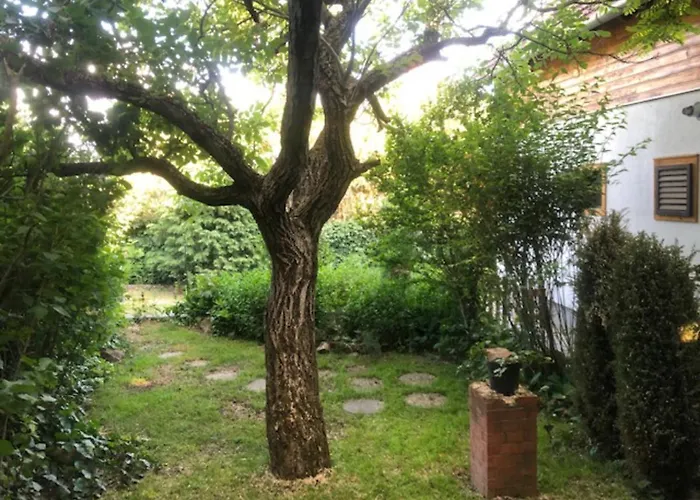 Tulipan Haz Dom wakacyjny Szentendre