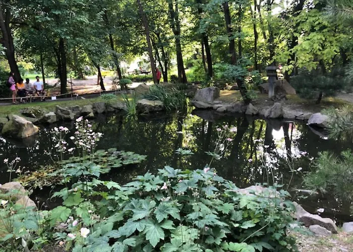 Tulipan Haz Szentendre
